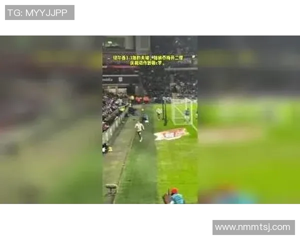 偶像12号的足球明星背后的故事与荣耀之路